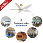 1stshine OEM Color Dimmable LED Light Ceiling Fan 5 Blades DC Motor and Remote