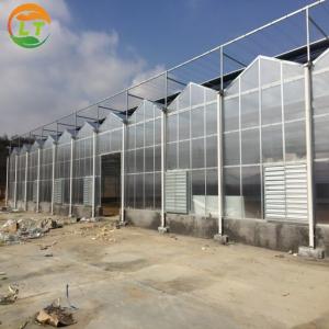 Wholesale High Yield Hydroponic Greenhouse for Tomatoes Vegetables and Flowers in Any Season from china suppliers