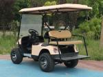 Pink Color ODM Dual Drive Chariot 40 Mph Golf Cart Custom Golf Buggy 4 Wheel 4KW