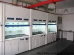 Acid Fume Hood Price From Asia Supplier For Lab Distributor
