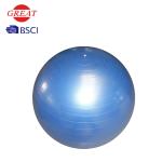 Grey / Blue Anti Burst Gym Ball , Customized Logo 55cm Fitness Ball