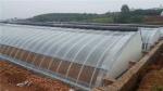 Agricultural PE Greenhouse For Winter Insulation And Small Scale Strawberry
