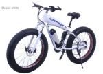 21 Speed Gear 350w 26 Inch Electric Fat Bike