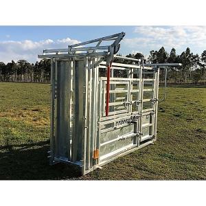 Wholesale Australia Standard Vet Cattle Crush without Y section from china suppliers