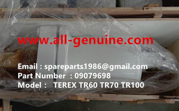 09079698 REAR RIDE CYLINDER TEREX NHL SANY TR35A 3303 3305 3307 TR50 TR60 TR100