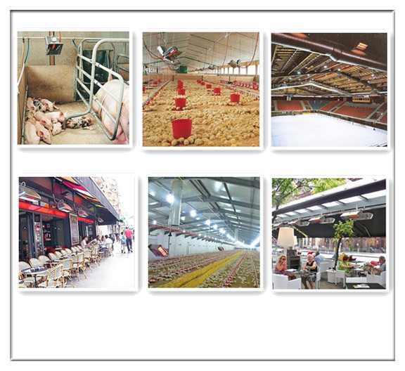 Incubator Infrared Gas Brooder CE Certificated For Chick Animal Husbandry