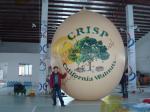 Air Brush UV Printed Wall Nut Fruit Shaped Balloons For Helium / Event Show 5m