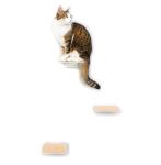 Modern Metal Cat Room Wall Seat with Stamping Parts Installation Wall Mount Pre