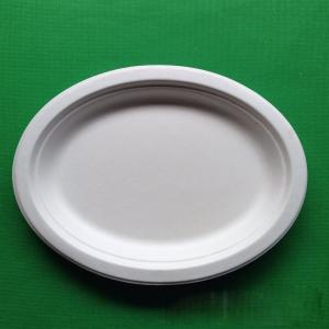 Wholesale Medium size biodegradable fish dish sugarcane BBQ fish plate for picnic from china suppliers
