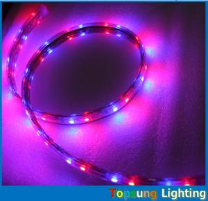Wholesale Hot sale 5050 smd 60LED/m blue strip flexible led ribbon 110V AC LED strip from china suppliers