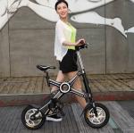 12 Inch Foldable Electric Scooter Wheel Brushless Motor Panasonic Battery