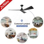 Black Finish DC Motor 5 Speeds Remote Control 3 ABS Blades Ceiling Fan Without