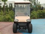 Pink Color ODM Dual Drive Chariot 40 Mph Golf Cart Custom Golf Buggy 4 Wheel 4KW