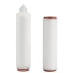 High Precision 10" Pharmaceutical Pore Structure Asymmetric PES Filter Cartridge