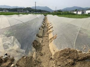 Wholesale 200Gsm Mulching Sheet For Agriculture from china suppliers