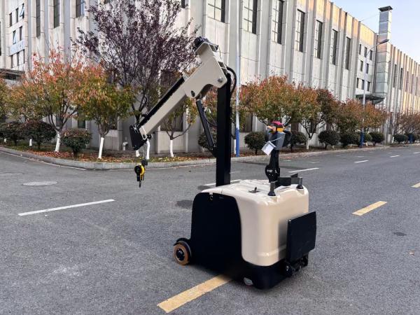 300 KG Lifting Capacity Non Standard Electric Mini Crane Arm Truck Lifting