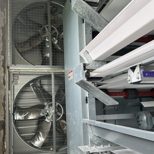 4-Tier Fully Automated Layer Housing System with Galvanized Frame & Auto Collection