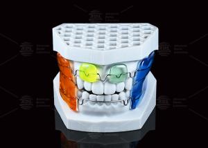 Wholesale Frankel Ⅲ Malocclusion Orthodontic Functional Appliance 13-16 Hours During Night from china suppliers