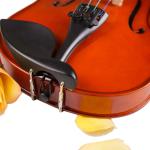 symphony orchestra instruments Wholesale price Professional Astonvilla AV-E310