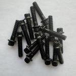 Standard OE NO. Universal Fitment Flange Bolt Black Titanium Gr5 12 PT RS/ RX