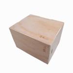 OEM Plyometric Jump Box