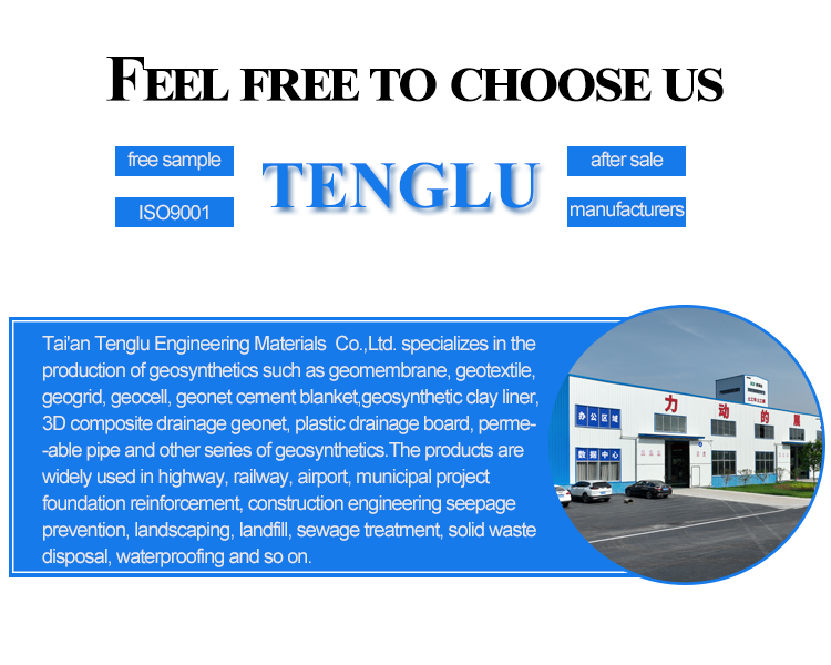 Best and 100% PP Material High Strength Polypropylene Geogrid for Reinforcing Roadbed