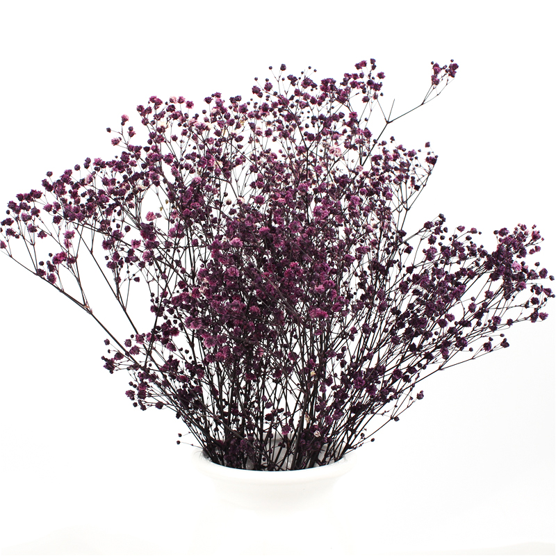 Home Decorations Beautiful Dried Flowers Gypsophila Long Term Storage