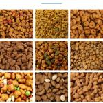 Stainless Steel Animal Feed Making Machine Dry Extruded