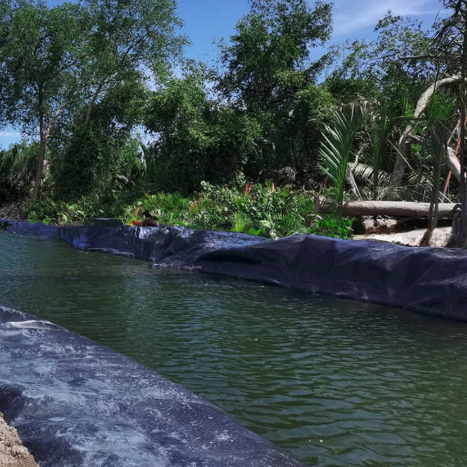 0.2mm-3mm Thickness HDPE/LLDPE/LDPE Geomembrane/Pond Liner for Water Treatment Plants