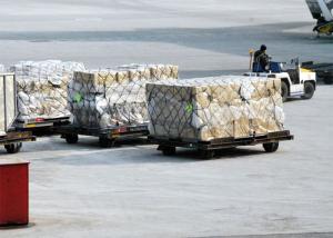Wholesale Guangdong To North American Freight Forwarding Land Transport from china suppliers