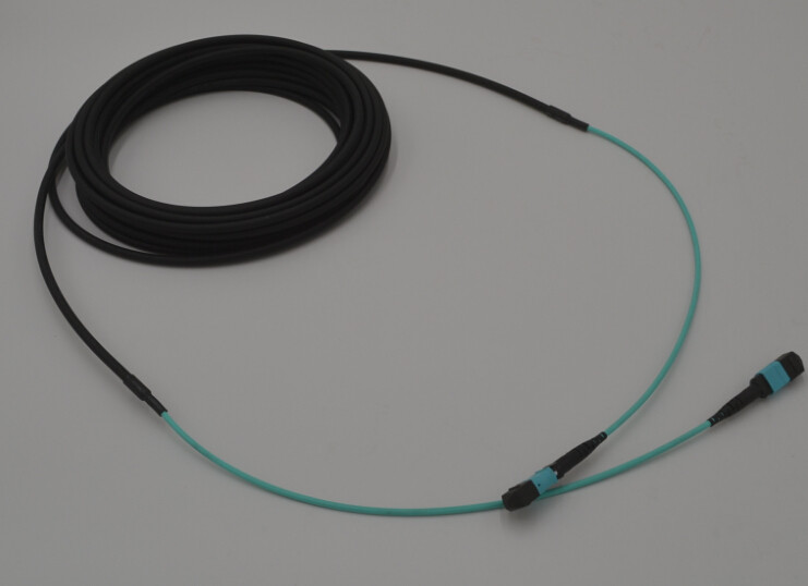 24 Core MPO MTP OM4 5.5MM Double Sheath Trunk Cable With 30cm Tail