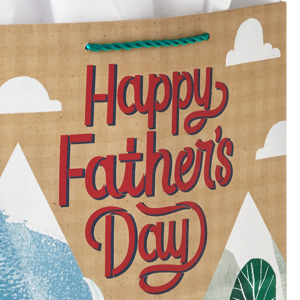 CMYK 4 Color Offset Printing Custom Colored Organic Eco Luxury Gift Paper Shopping Bags