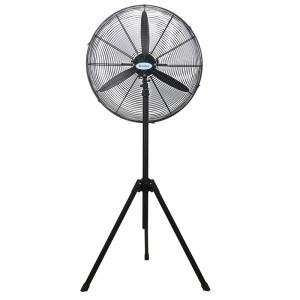 Wholesale 750mm 30 Inch Industrial Floor Fans With Aluminum 3 Blades from china suppliers