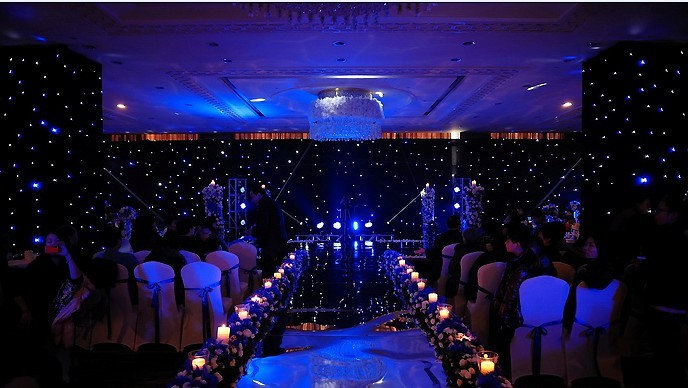 IP33 LED Star Curtain for Wedding Bar DJ Church Showcase Game Room Event Backdrop Cloth