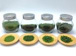 Food Grade Nutrient Rich Green Aonori Dried Seaweed Ao Nori Ko Processed Crispy