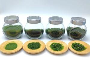 Wholesale Food Grade Nutrient Rich Green Aonori Dried Seaweed Ao Nori Ko Processed Crispy Snack with Umami Flavor from china suppliers