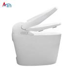 Automatic Operation One Piece Dual Flush Toilet Automatic Heating