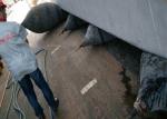 Big Carrying Capacity Marine Rubber Airbag , Boat Recovery Airbags Small Size