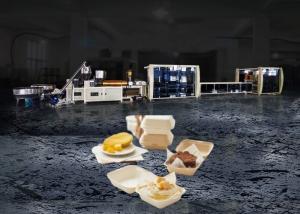 Wholesale Full Automatic Burger Box Machine Equipment Production Line from china suppliers