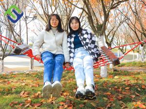 Wholesale Commercial Outdoor Tree Swing Hammock Seat Heavy Duty EN1176 standard from china suppliers