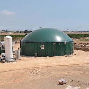 Wholesale 3000M3 Green Double Membrane Biogas Dome , Automatic Control Bio Gas Holder from china suppliers