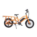 Steel Frame Long Tail Bike Fashionable E Cargo Bike with Dual Battery and Kenda