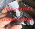 BOSCH Common Rail Injector 0445110388 0445110387 For HUATAI RA415 RA420 RA425