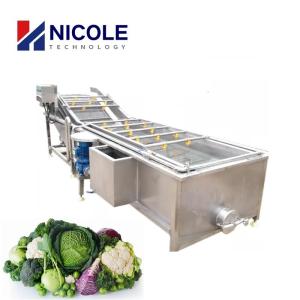 Wholesale 220V - 440V Fruit Vegetable Cleaning Machine Multifunctional 100 - 2000kg/h from china suppliers