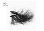 Long Wispy Fluffy 21MM Fake Eyelashes For Beginners