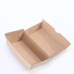 Recyclable Burger Hot Dog Box French Fries Boxes Container Cardboard Paper