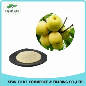 Wholesale Natural Sydney / Snow Pear Fruit Juice Powder from china suppliers