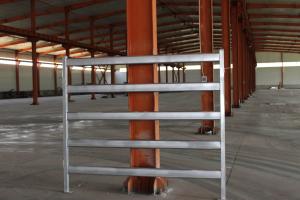 Wholesale Heavy Duty 15pcs Bundle Heavy Duty Used Cattle Yards For Sale &amp; Gate for Au from china suppliers