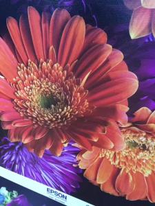 Wholesale 240g Inkjet Printable Canvas from china suppliers