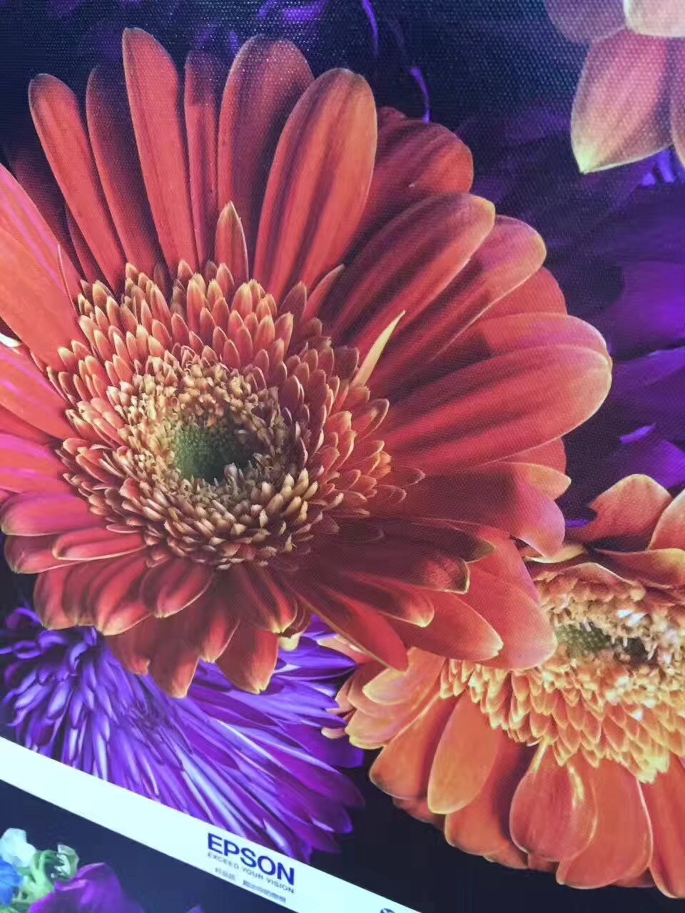 No Faint 300g Inkjet Printable Canvas Waterproof Polyester canvas